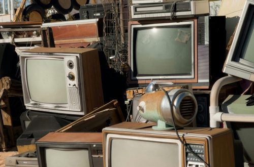 pexels-alliefeeley-15313403